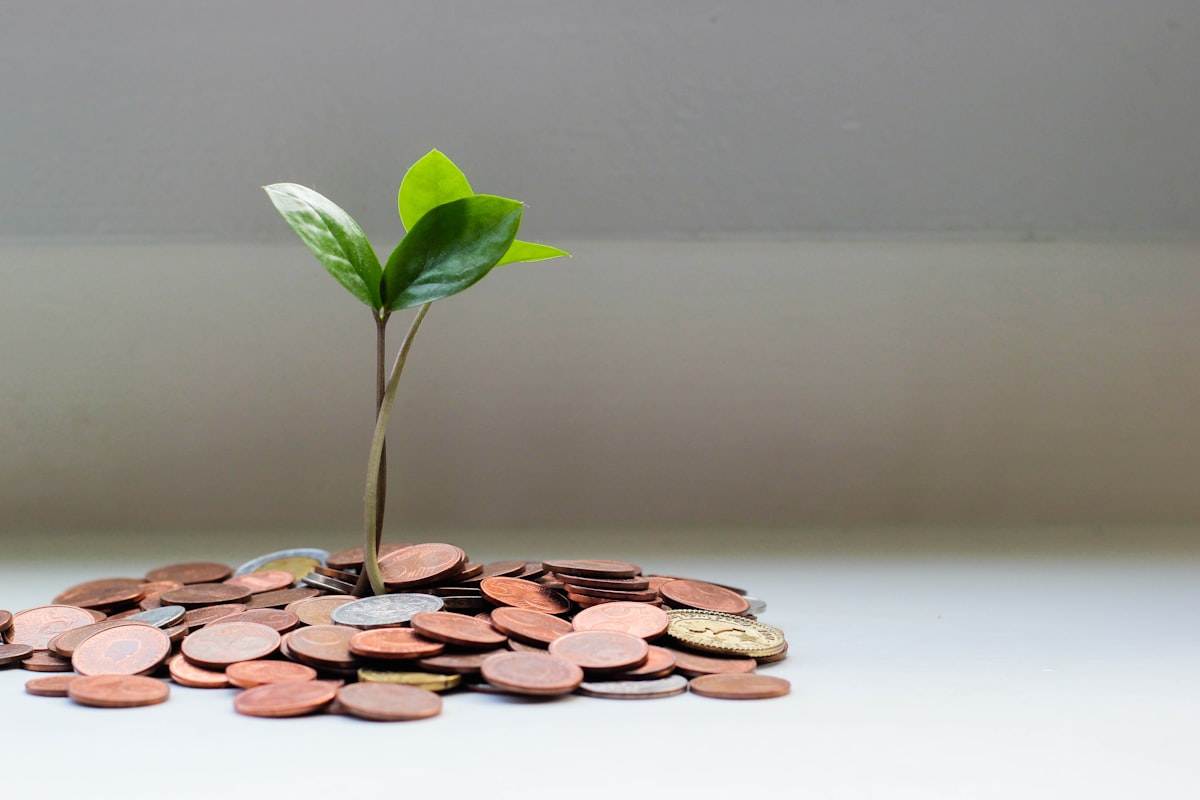 Emergency Fund: Why You Need One and How to Build It